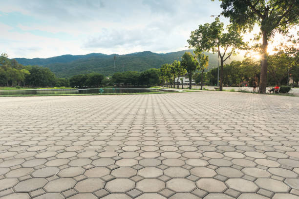 Best Driveway Borders and Edging Pavers in Lasalle, IL